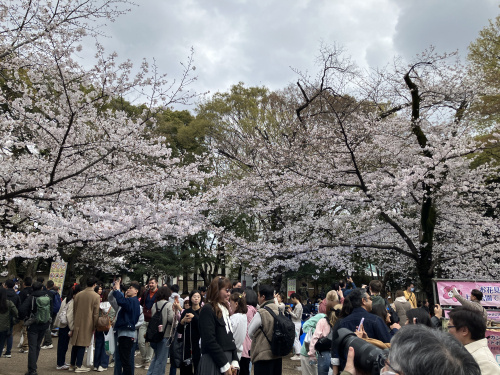 (株)メイワ・エステート