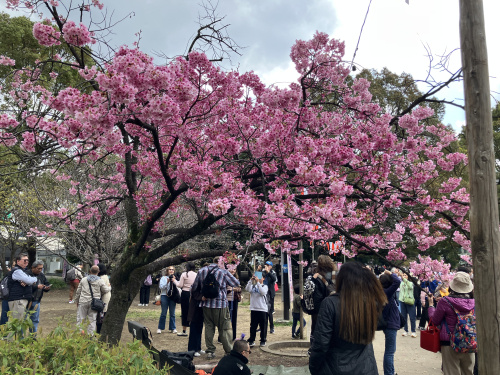 (株)メイワ・エステート