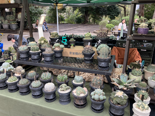 (株)メイワ・エステート