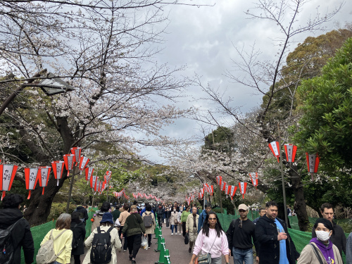 (株)メイワ・エステート