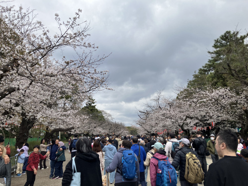 (株)メイワ・エステート