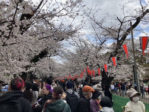 (株)メイワ・エステート