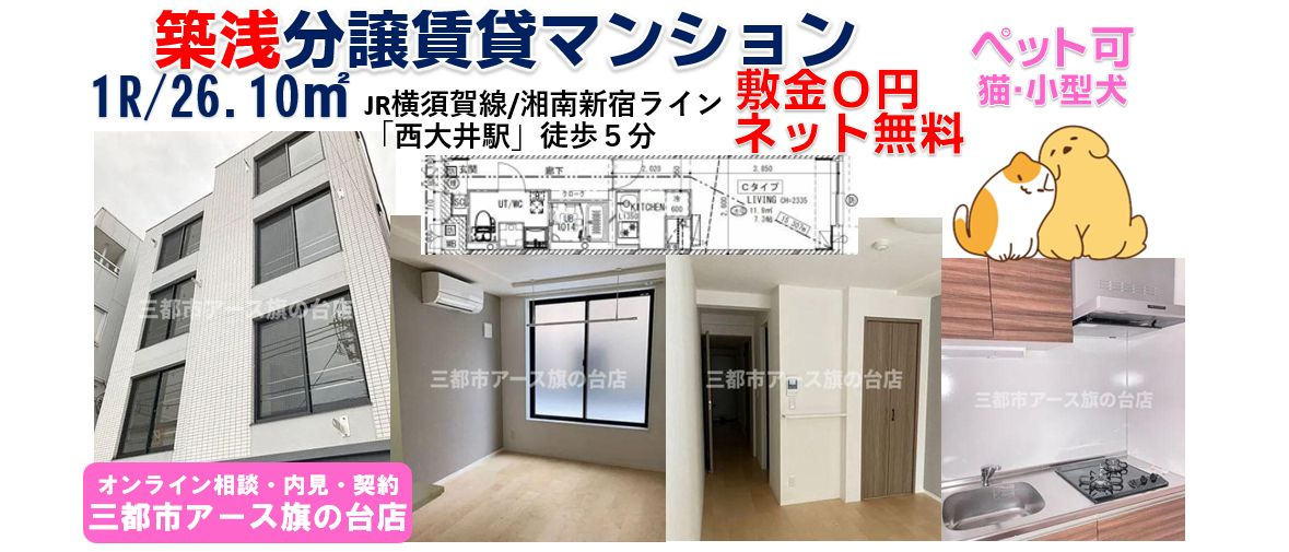 【ＳＹＮＥＸ　ＮＩＳＨＩ－ＯＩ】築浅賃貸マンション・1R・ペット可・1人暮らし・JR横須賀線・湘南新宿ライン・西大井駅