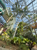 泊まれる植物園の画像