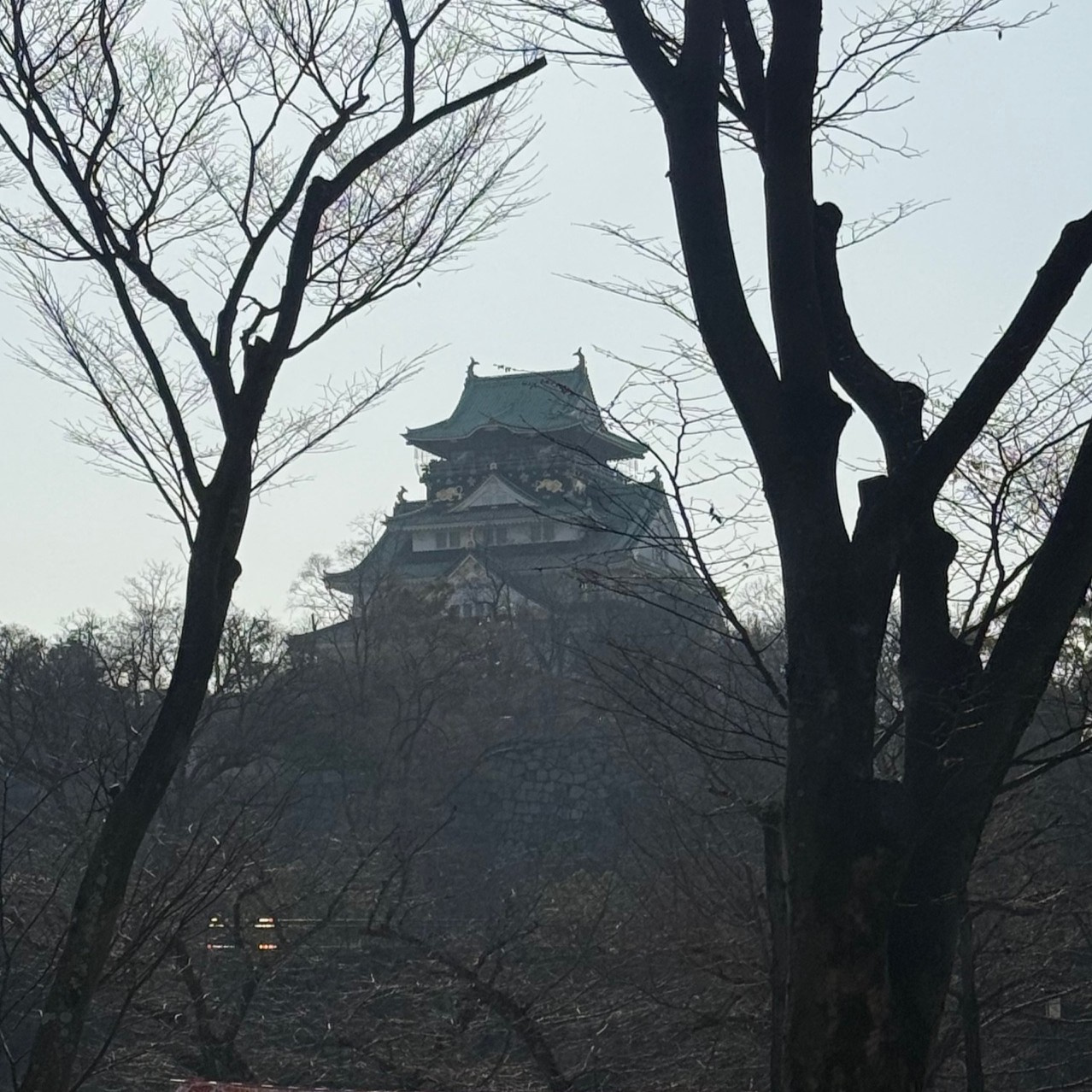初大阪遠征！！～食べもの編～の画像