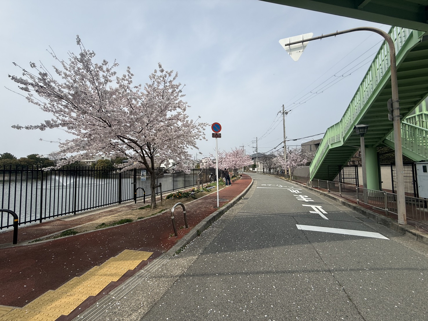 もう春です！の画像