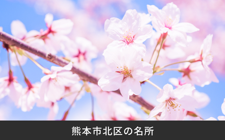 熊本市北区の名所