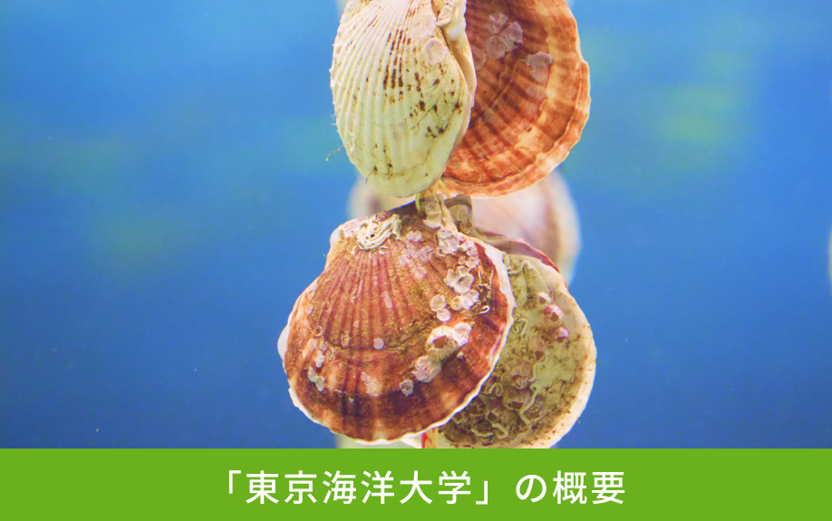 「東京海洋大学」の概要