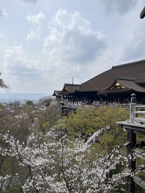 【　京都・一人旅　】の画像