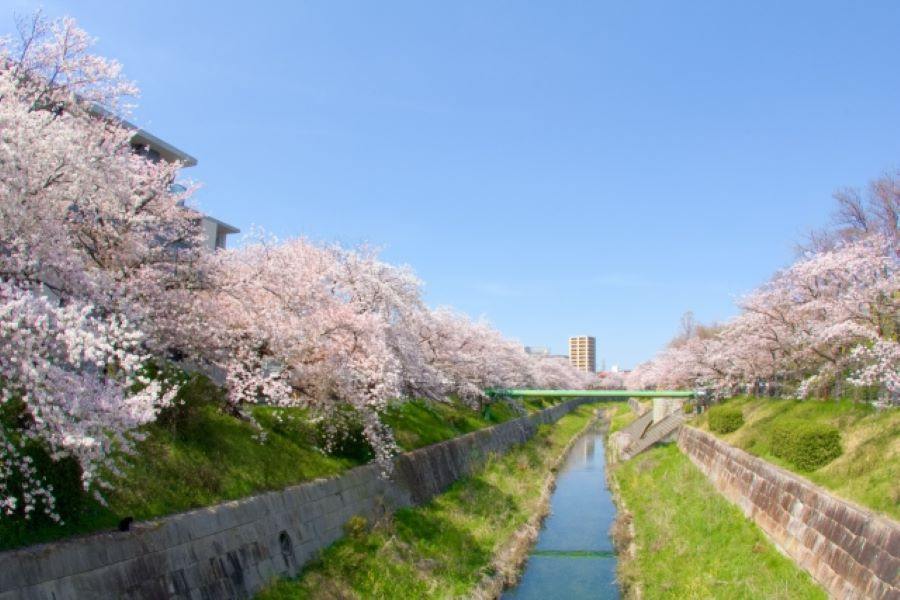 名古屋市瑞穂区ってどんなところ？瑞穂区の魅力をご紹介！の画像