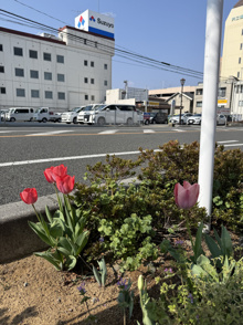 新生活、応援しております!の画像