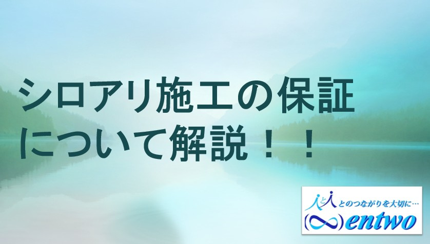 名古屋市の戸建てで要注意のシロアリ被害とは？  保証の選び方と対策で住まいの不安を減らすの画像