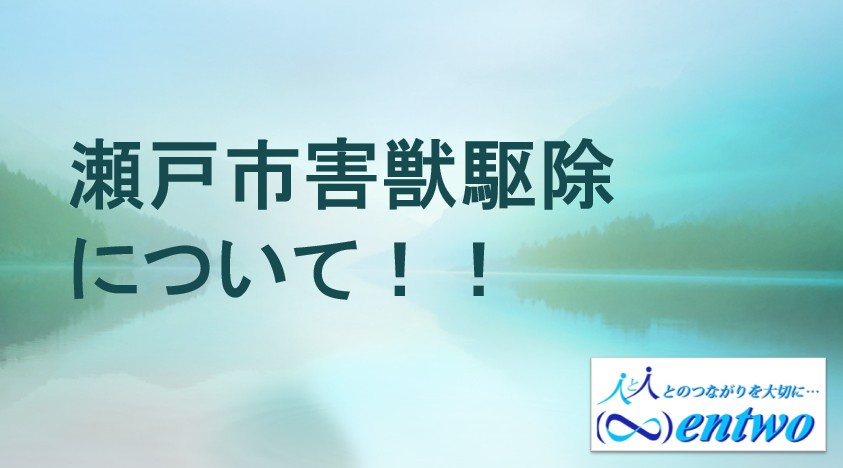 瀬戸市で害獣駆除  中古住宅の害獣駆除で安心な瀬戸市暮らしを実現の画像