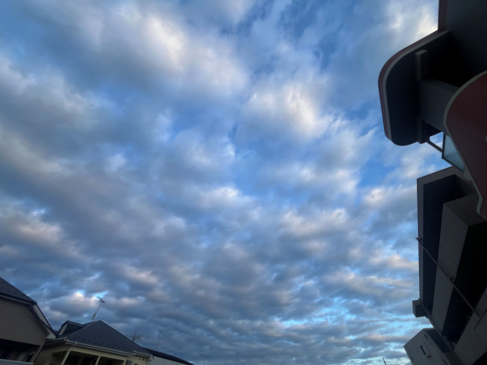 入社、入学おめでとう♪の画像