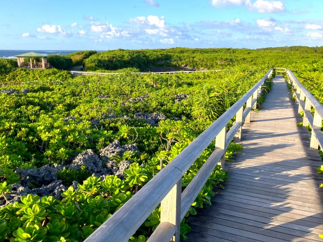 新年度のご挨拶の画像