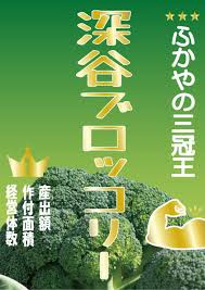 深谷ブロッコリーで健康効果アップ！旬の時期や保存方法栄養価比較も紹介の画像