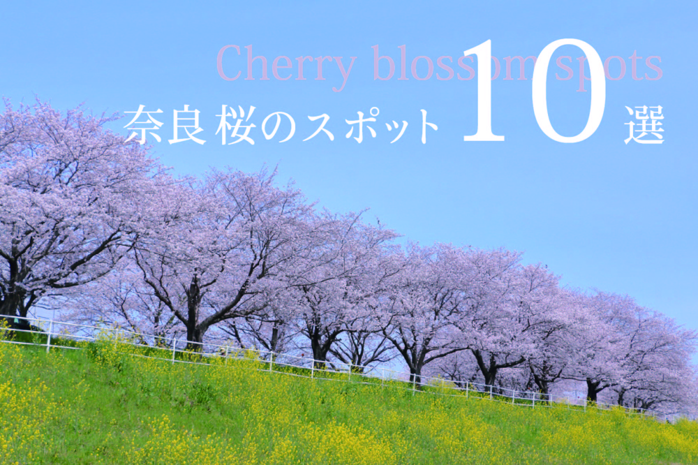 奈良県の桜スポット10選の画像