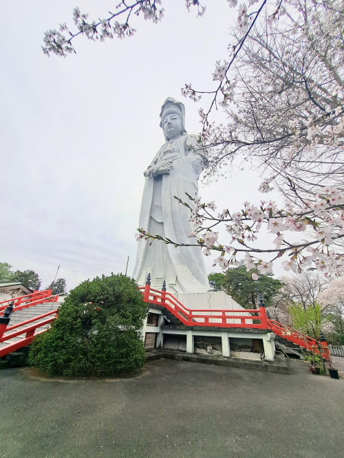 ☆高崎白衣大観音☆の画像