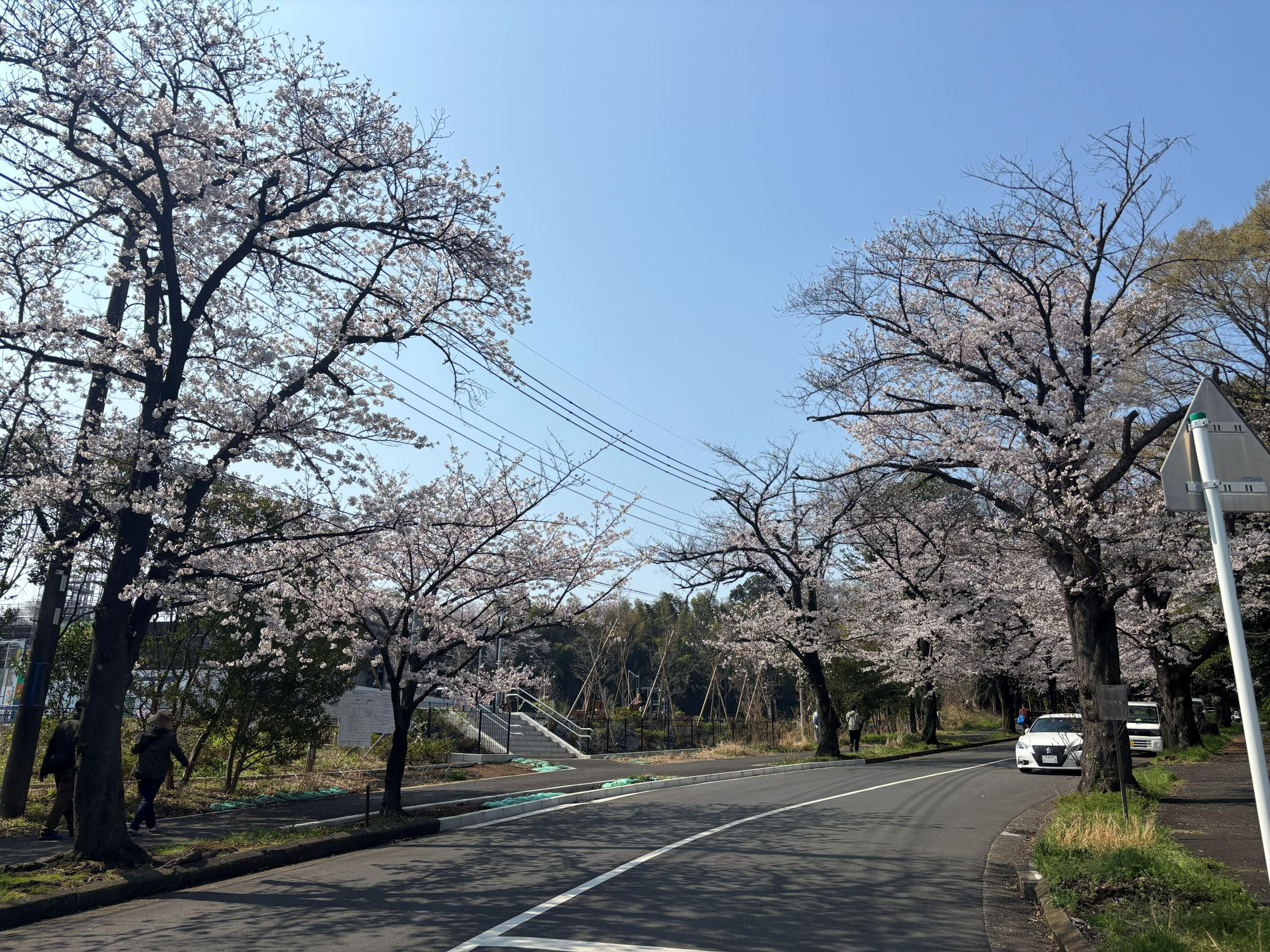 新年度もよろしくお願いいたします！の画像