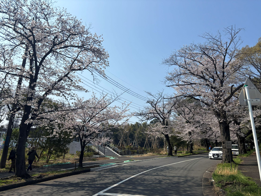新年度もよろしくお願いいたします！の画像