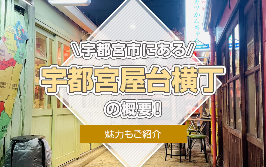 宇都宮市にある「宇都宮屋台横丁」の概要！魅力もご紹介