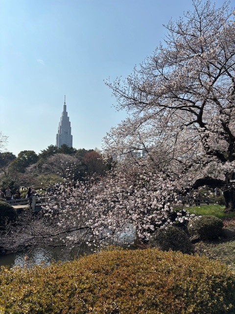 防犯面で気を付けることは何がある？  一人暮らし初心者が押さえたい防犯面の基本ポイントの画像