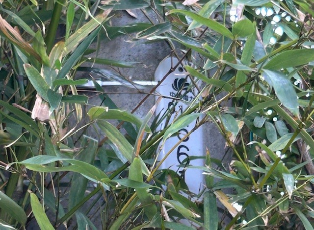 【津島市不動産売却】雑草で見えないの画像