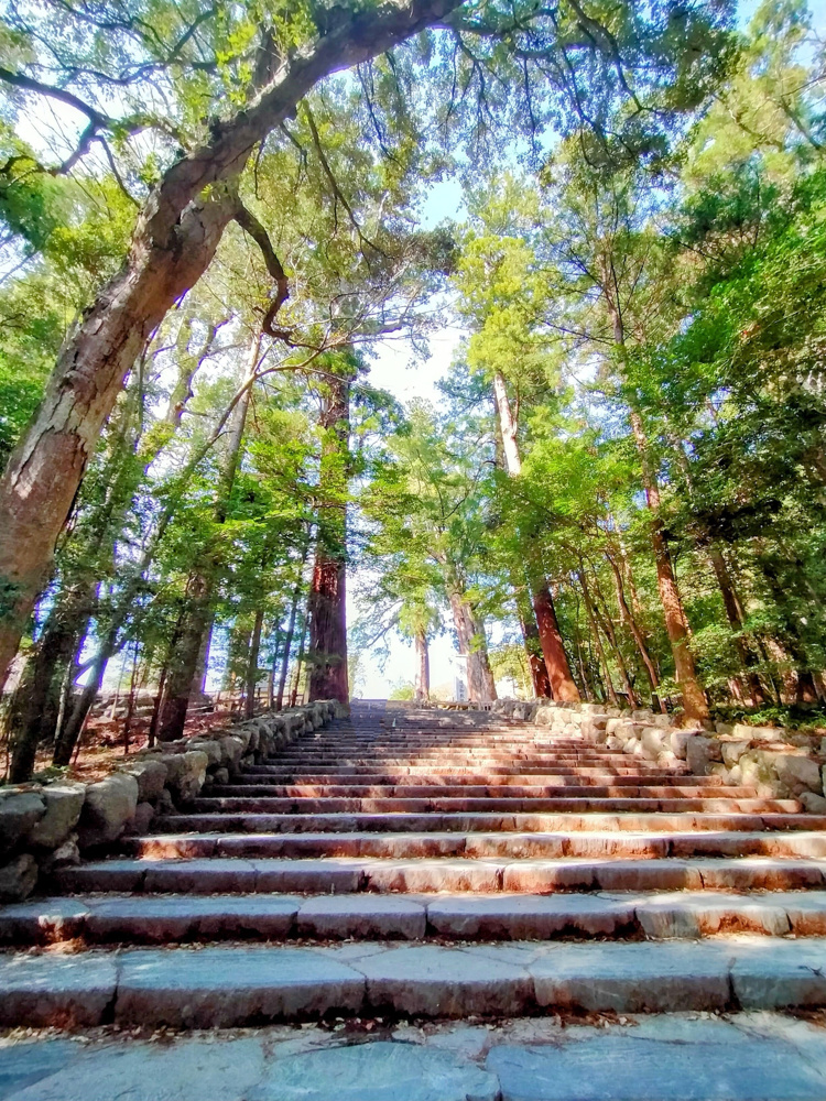【伊勢神宮】新年度参拝の画像