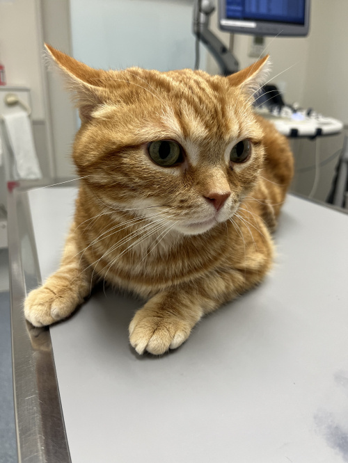 病院・・・の画像