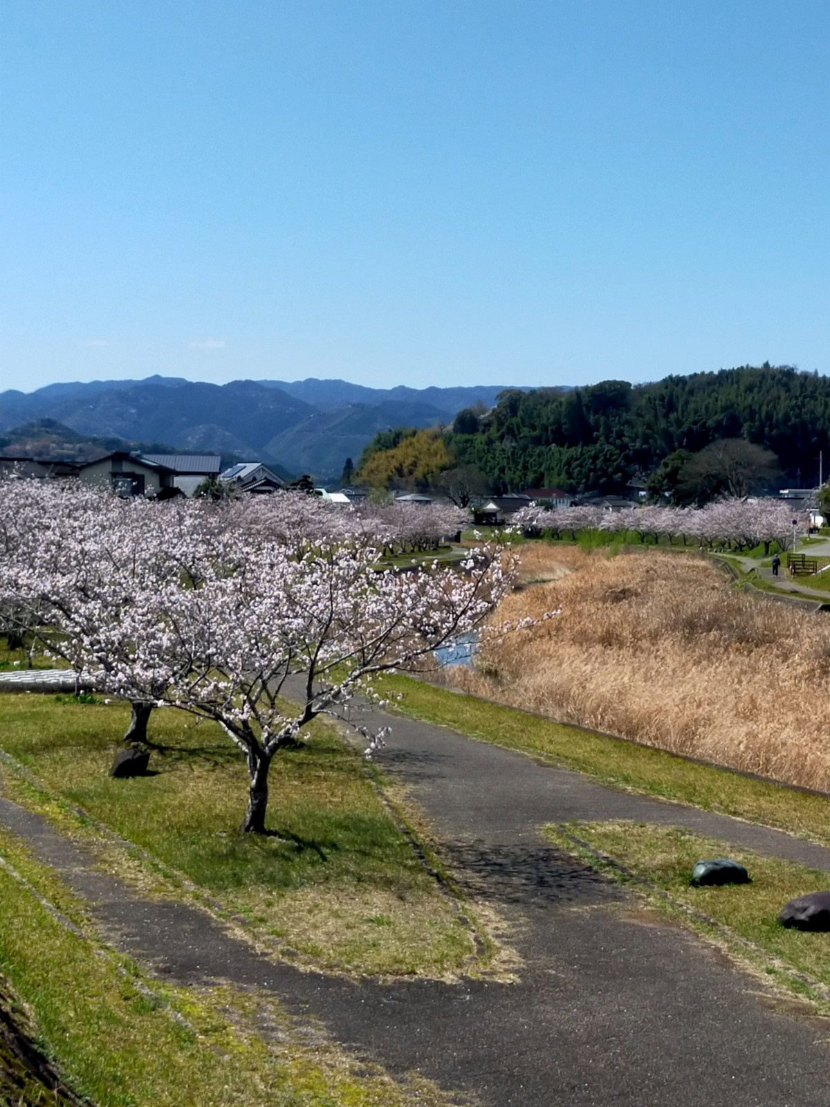 熊本市の不動産売買契約解除は可能か？  売主側の理由や具体例を知り不安を減らす方法の画像