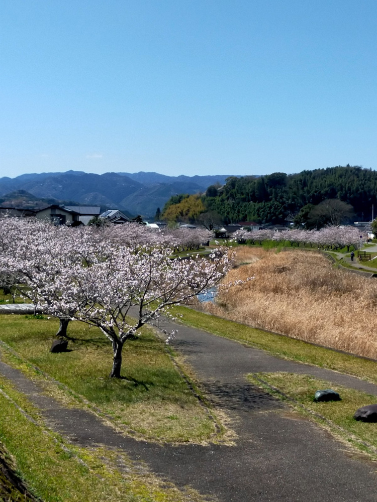 熊本市の不動産売買契約解除は可能か？  売主側の理由や具体例を知り不安を減らす方法の画像