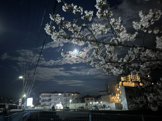 さくら！！の画像