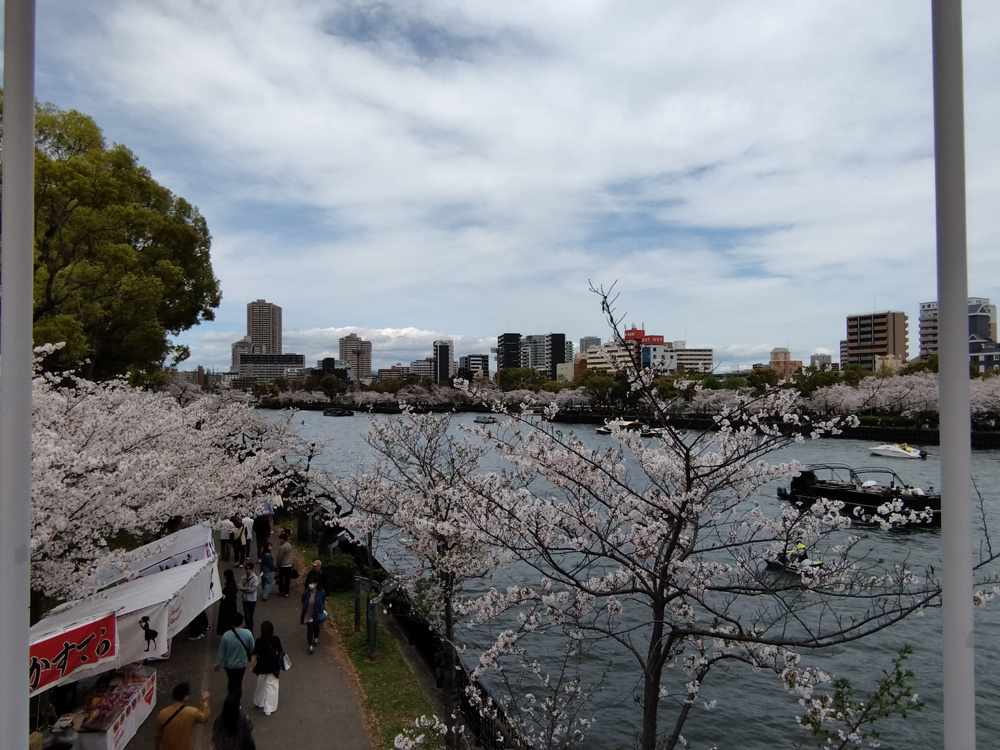 桜ノ宮といえば、春を彩る桜の名所の画像