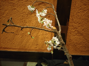 花より団子より・・・。の画像