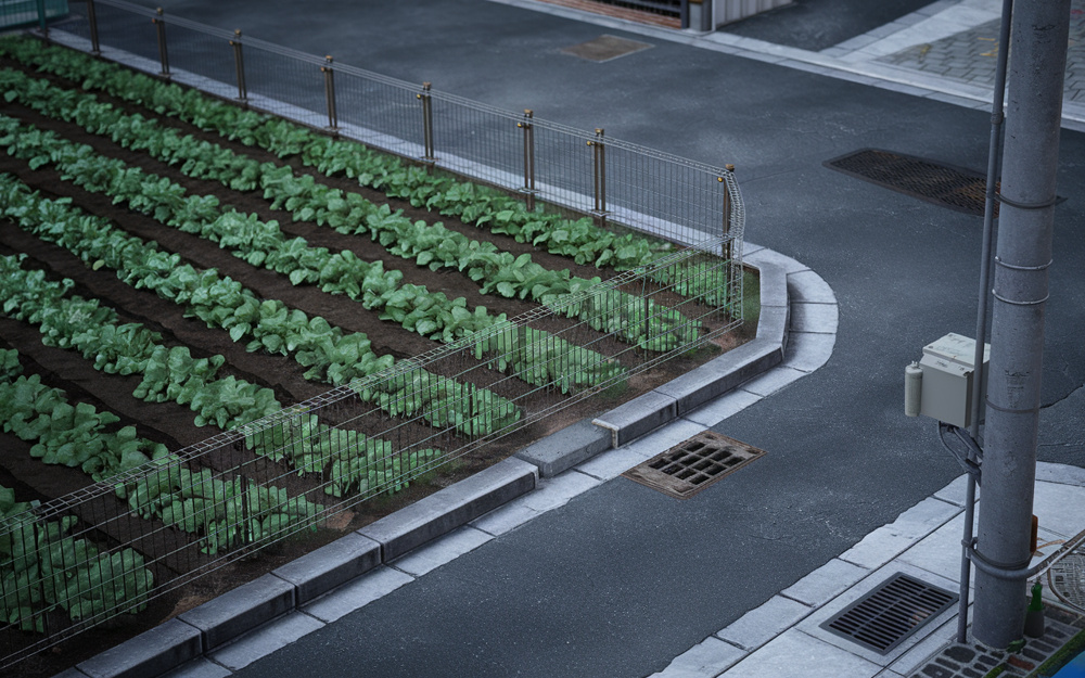 【大阪市城東区】相続した畑を売る手順｜農地転用の費用相場と「生産緑地」売却の注意点の画像