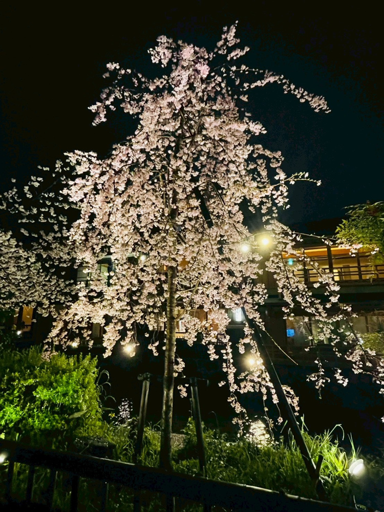 【勉強会】京都の文化に触れ、不動産投資のおもしろさを学ぶ二日間の画像