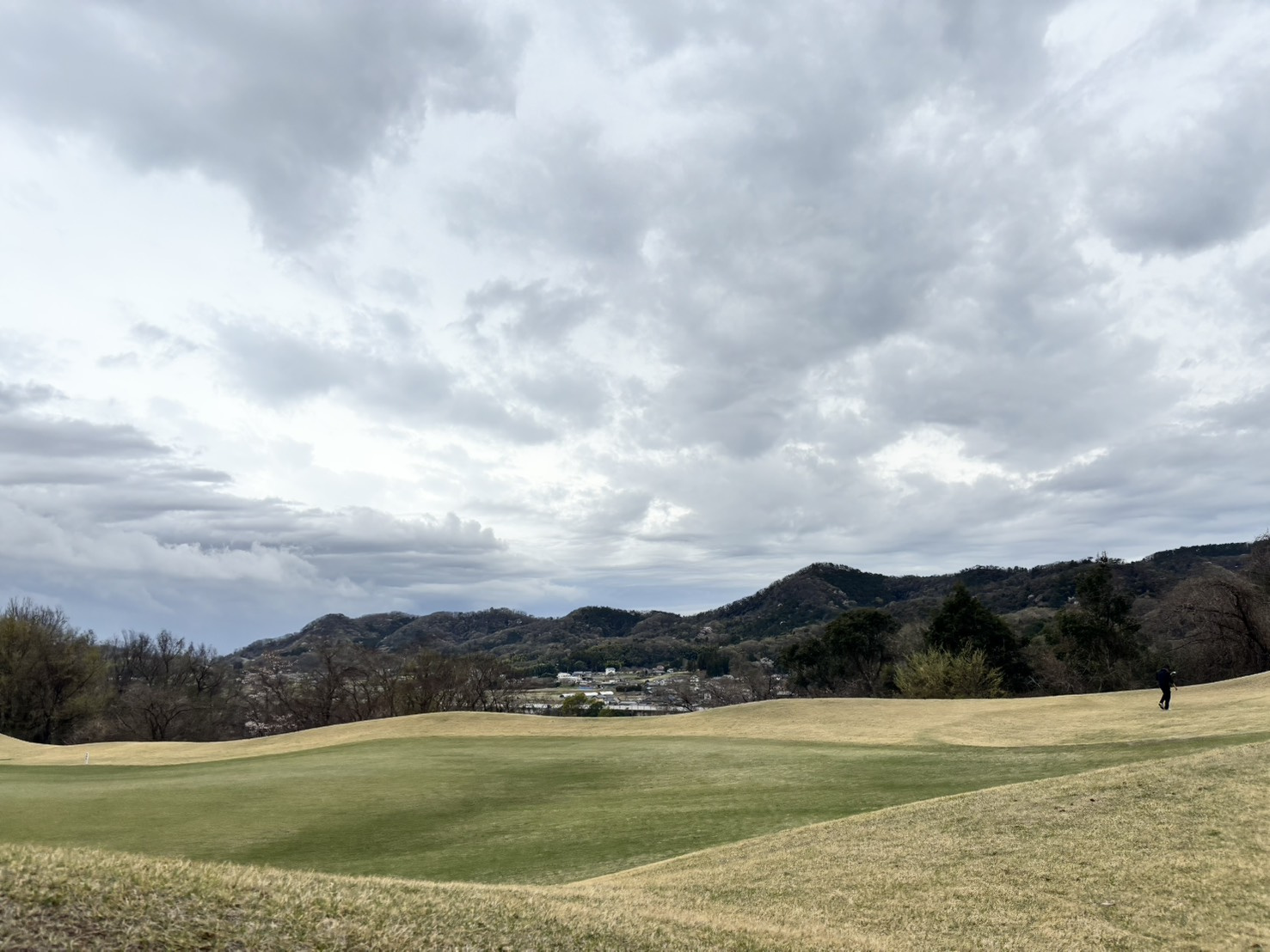 今年初打ちの画像