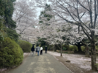 ＊恒例の社内研修/綾瀬の分譲賃貸マンション募集の画像