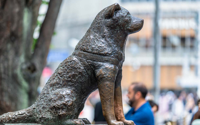 今日は何の日？の画像