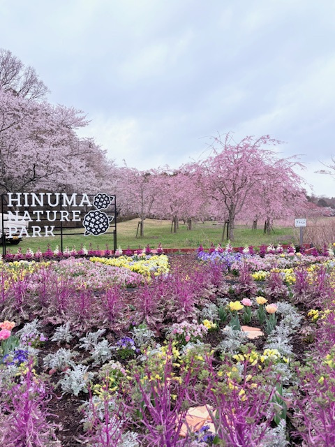 公園が気持ちいい季節ですね♪の画像