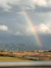 虹を見ましたの画像