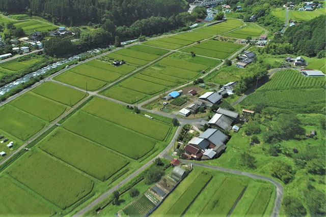 農地売却時にかかる税金