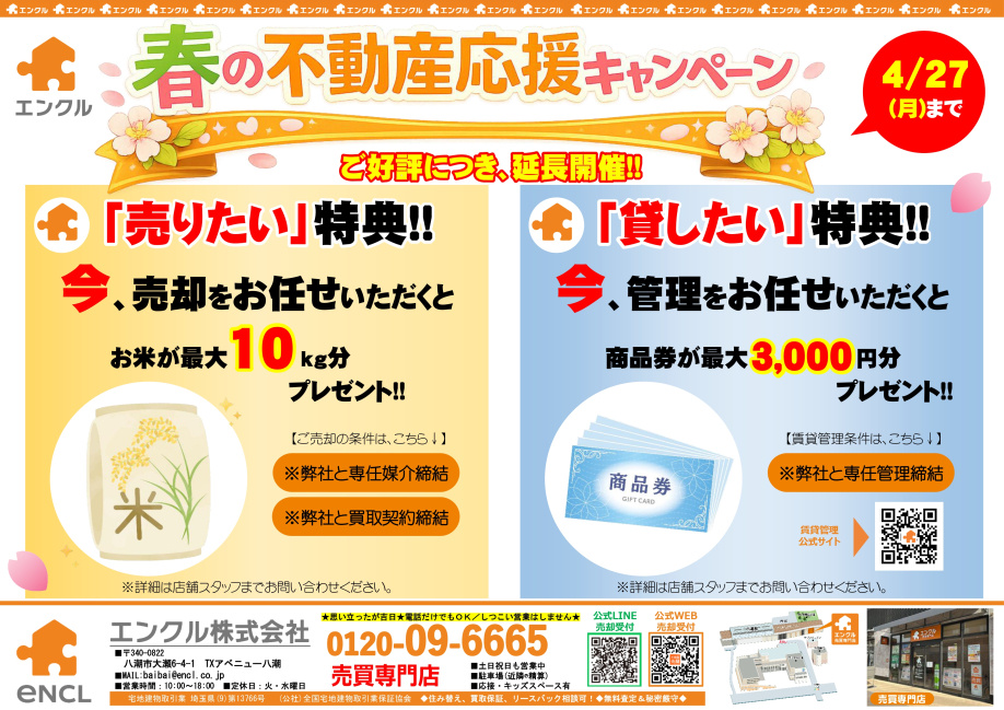 ブログ記事トップ画像
