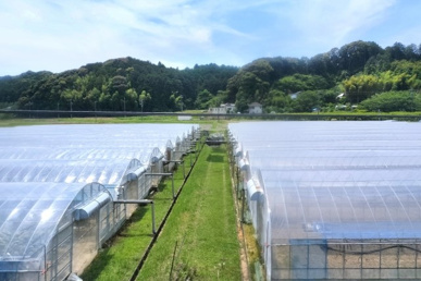 農地の相続で納税猶予を受けるには？要件や継続の手続きについても解説の画像