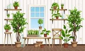 【光の少ない環境で育つ観葉植物11選】の画像