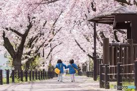 【2026年小学校入学式レポ】新一年生の晴れの日に参加してきましたの画像