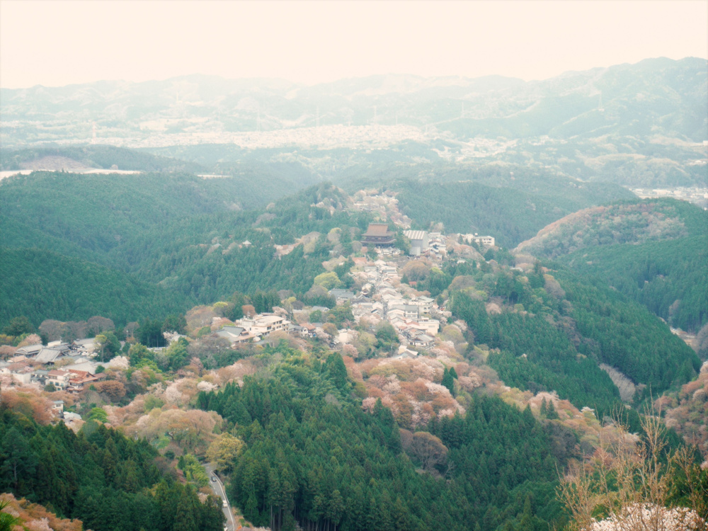 吉野山でお花見～の画像