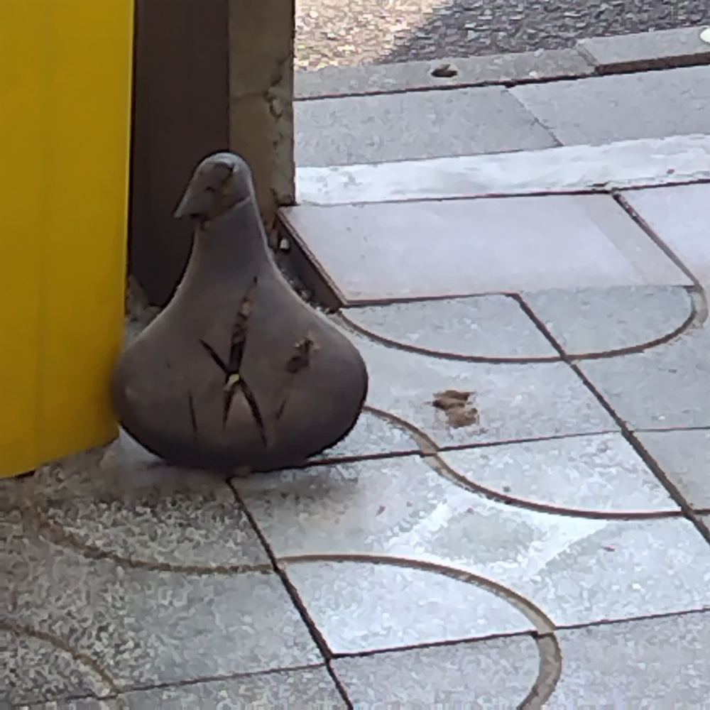 不動産管理の裏側：岐阜市で起きた鳩トラブルとサドル誤認事件の話の画像