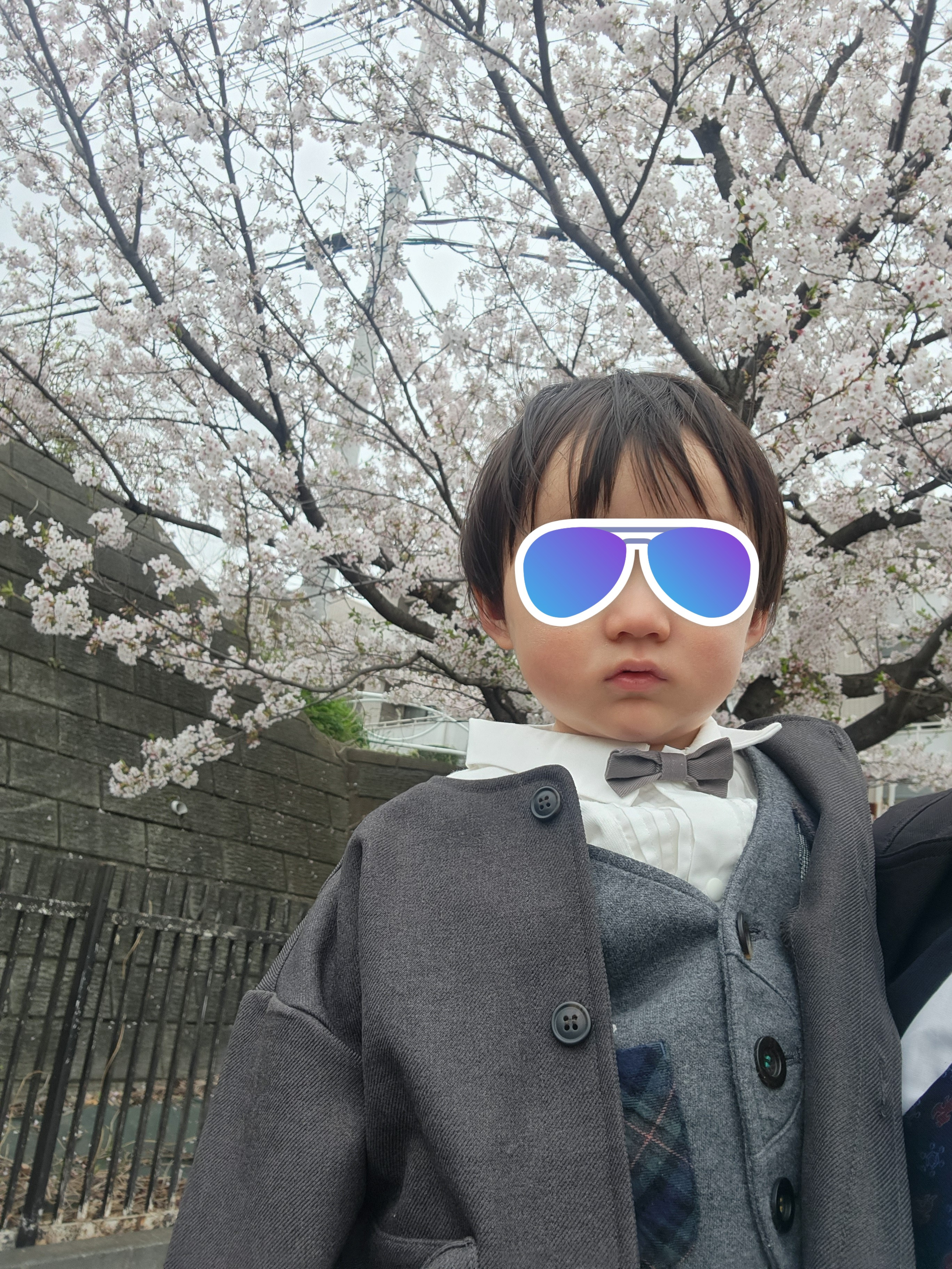 せがれとの闘いの画像