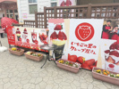 いちごの里の画像